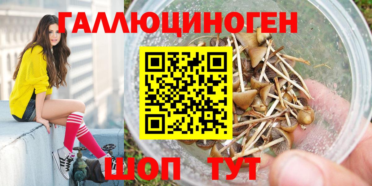 Галлюциногенные грибы MAGIC MUSHROOMS Трёхгорный